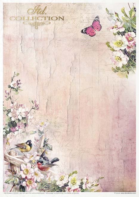 Rosy Summertime