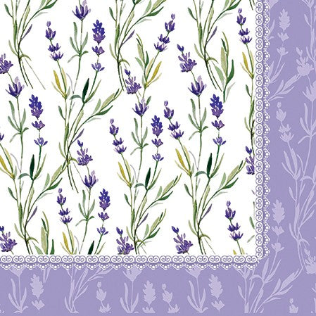 Lavender Meadow