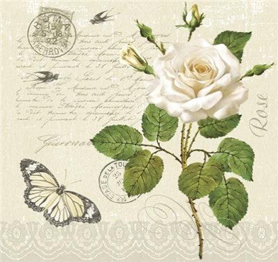 Vintage Rose Postcard