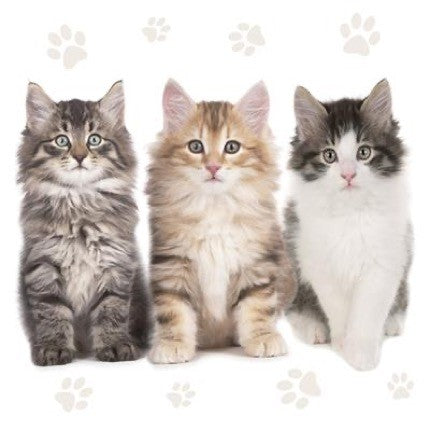 Cats Luncheon Napkins