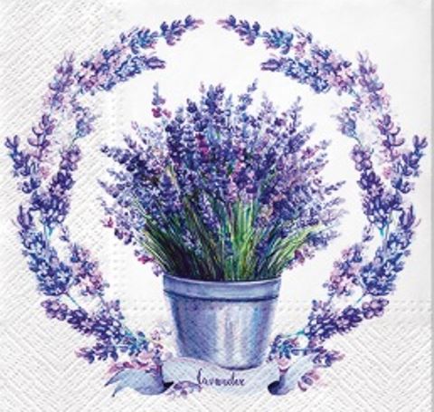 Soft Lavender
