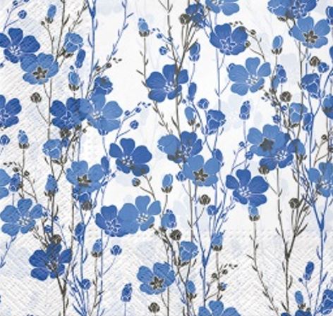 Flax Plants