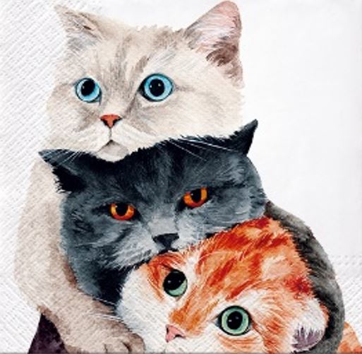 Three Cats