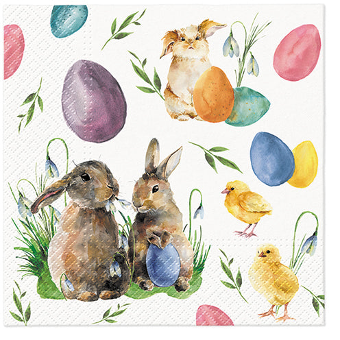 Bunnies With Chicken