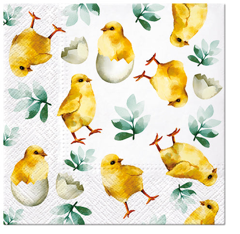 Chicken in Eggs