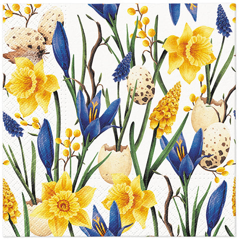 Easter Daffodils