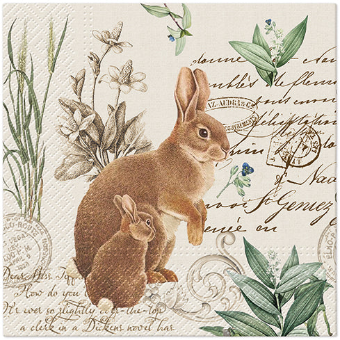 Mystery Bunny