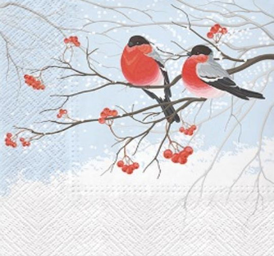 Bullfinches