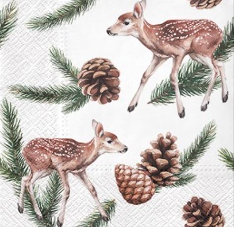 Deers and Cones