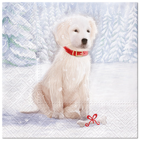 Snow Dog