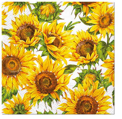 Dancing Sunflowers