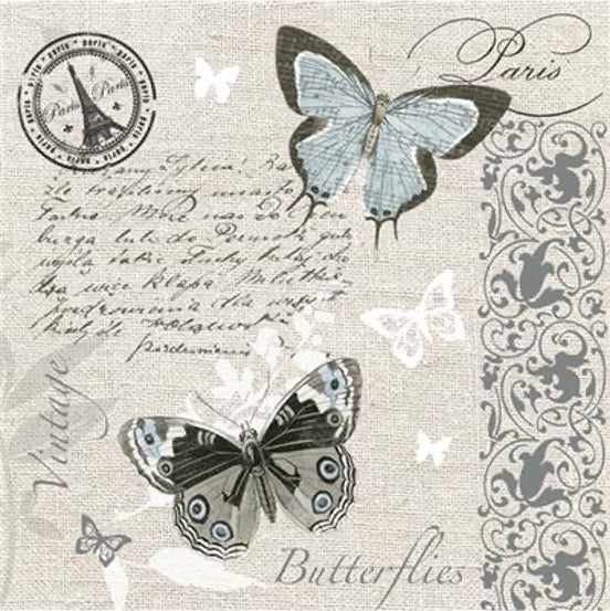 Butterflies Postcard