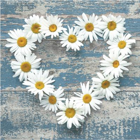 Daisy Heart