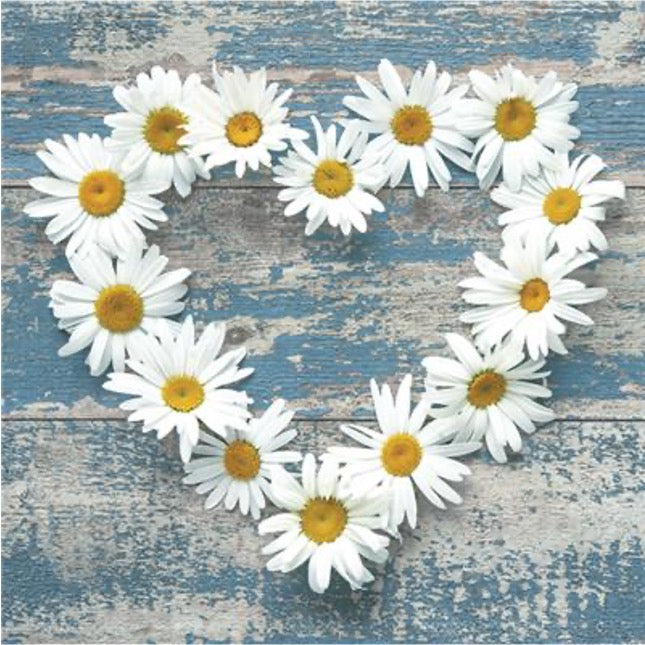 Daisy Heart