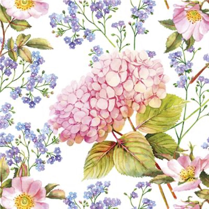 Pink Hydrangea