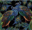 Peacocks On Black