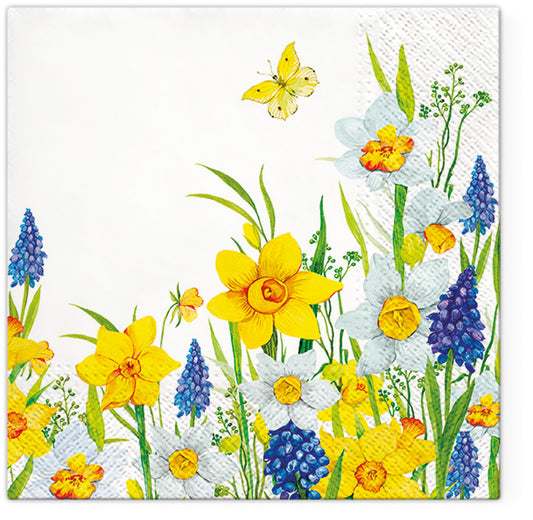 Spring Daffodils
