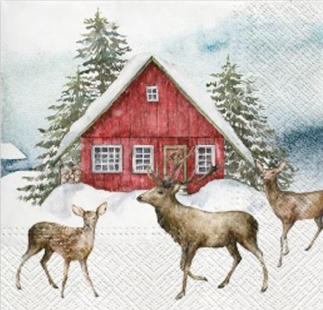 Snowy Red House