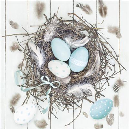Blue Eggs in Nest