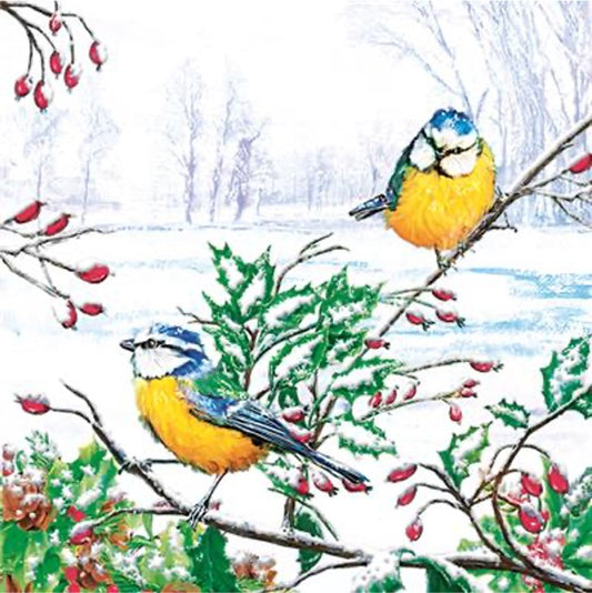 Winter Tits