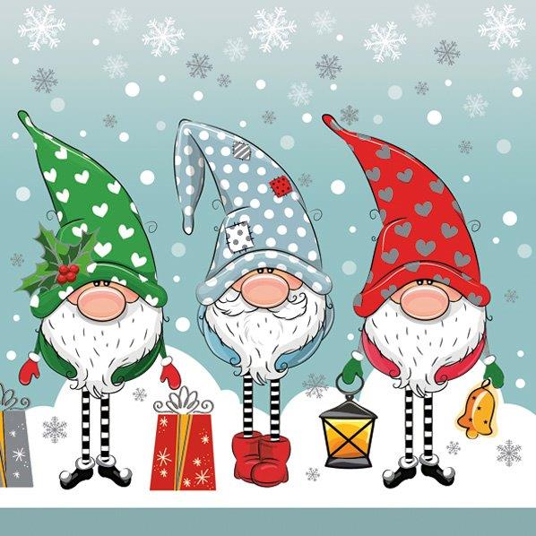 Funny Gnomes