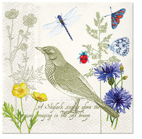Summer Letter 