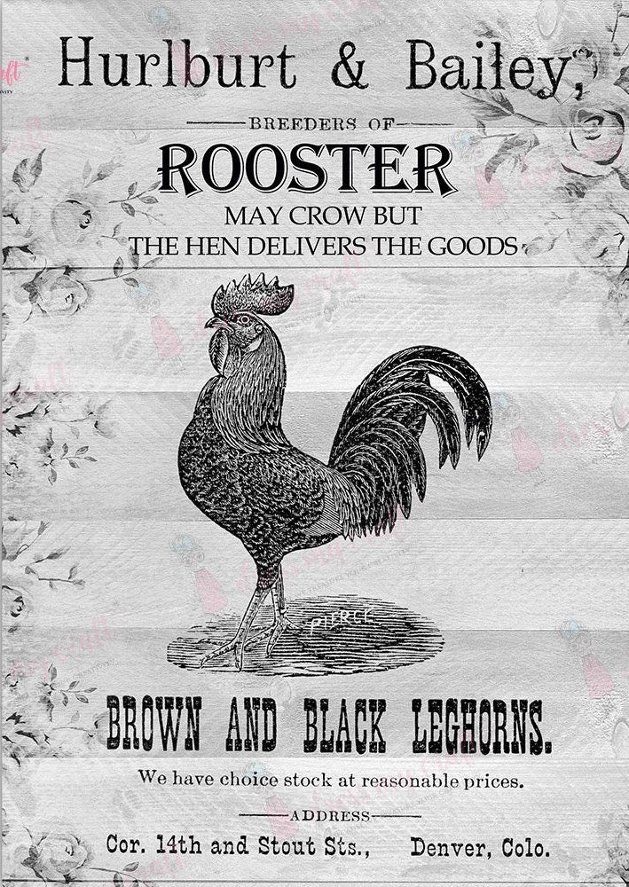 The Rooster
