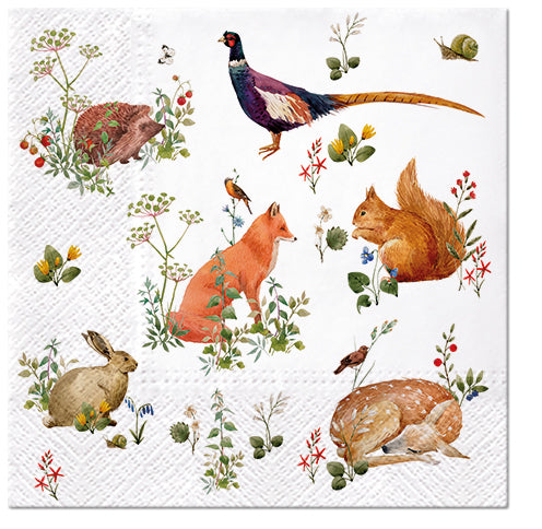 Wild Forest Animals 