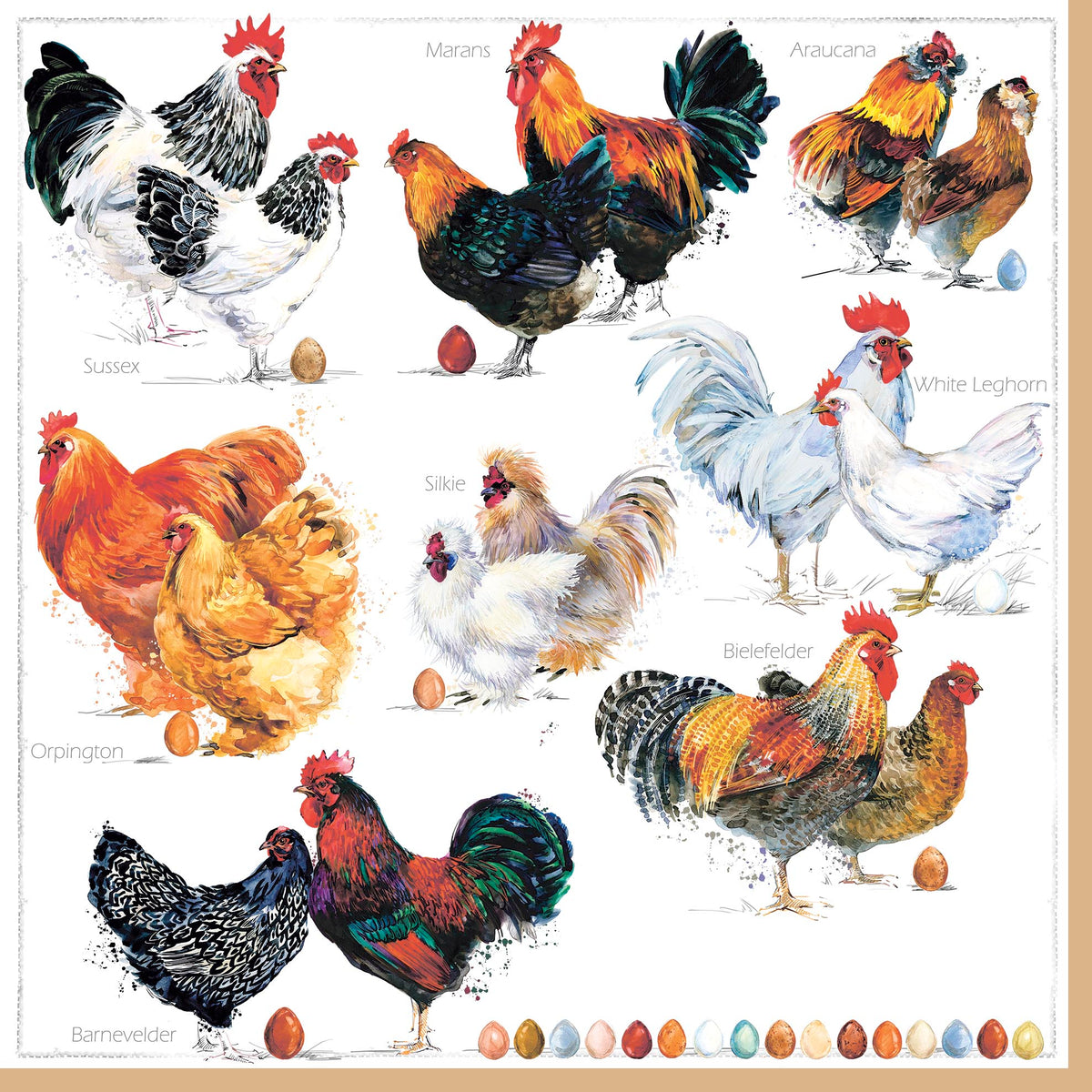 Chicken Collection