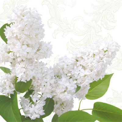 White Lilac Luncheon Napkins