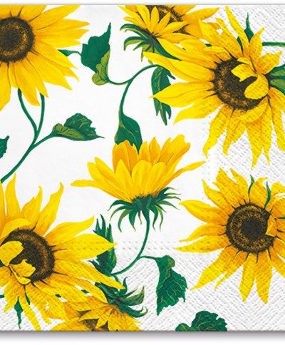 Sunflowers on White Cocktail Napkins