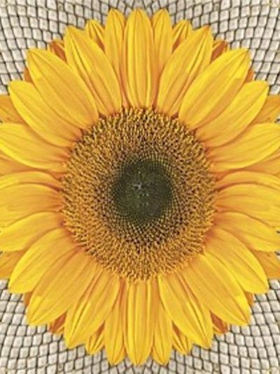 Sunflower on Seeds Luncheon Napkins