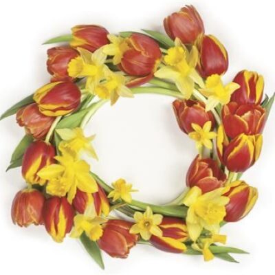 Napkin Bundle – Spring Flowers – Lunch