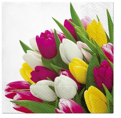 Bunch of Tulips Cocktail Napkins