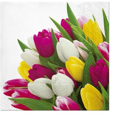 Bunch of Tulips Cocktail Napkins