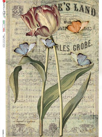 Tulip on Music Notes Rice Paper