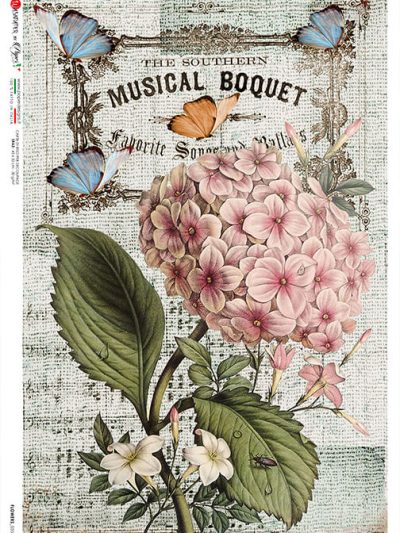 Pink Heirloom / Hydrangea on Music Notes Rice Paper