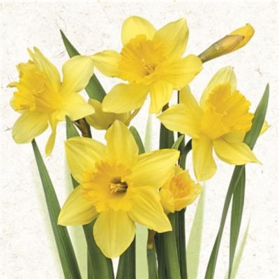 Daffodils Luncheon Napkins