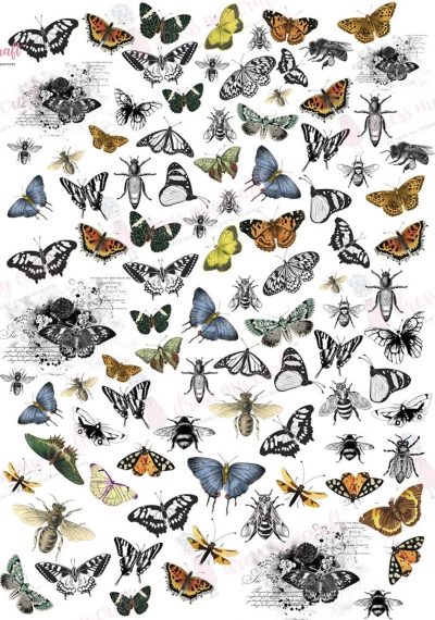 Mini Vintage Butterflies – Wet Transfer