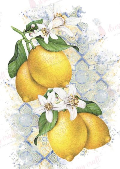 Fresh Lemons – Mini Wet Transfer