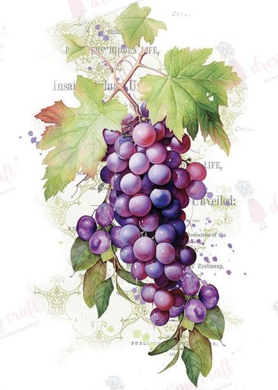 Wine Grapes – Mini Wet Transfer